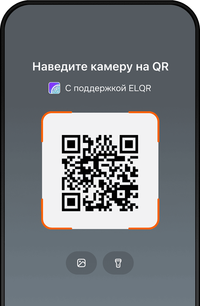 Изображение Оплата и переводы через ELQR